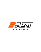 AST Suspensions